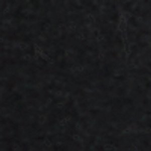 Bert - Image 9