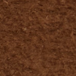 Bert - Image 9