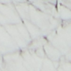 Joselie - Image 8
