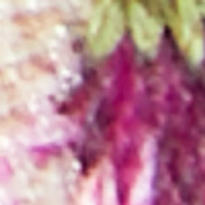 Joselie - Image 9