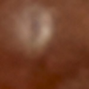 Guillard - Image 2