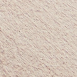 Caraelia - Image 7
