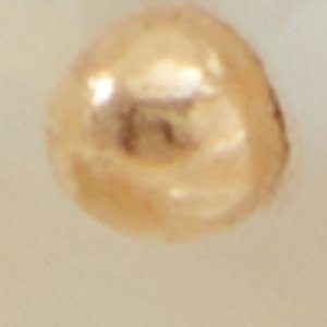 Foiwia - Image 3
