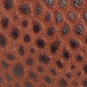 Buckley - Image 9