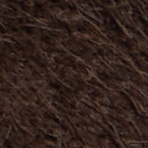 Buckley - Image 9