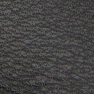 Buckley - Image 9