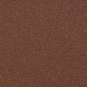 Cedric - Image 9