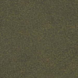 Cedric - Image 9