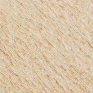 Alexio - Image 9