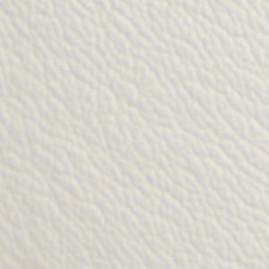 Braxton - Image 9