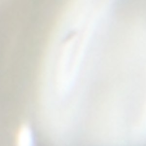 Amelinna - Image 3