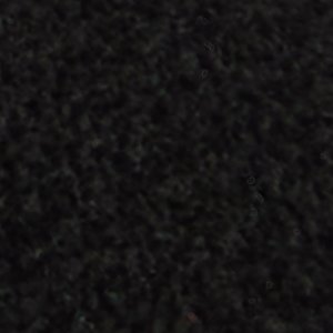 Roscoe - Image 9