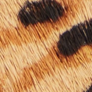 Leanah - Image 9