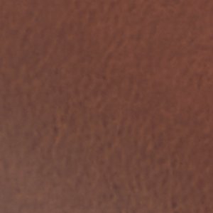 Gio - Image 8