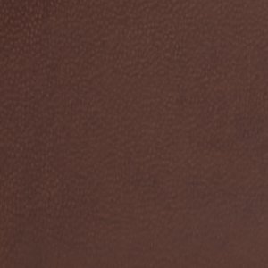 Titann - Image 2
