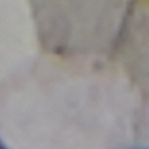 Ridges - Image 3