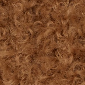 Cozycloud - Image 2