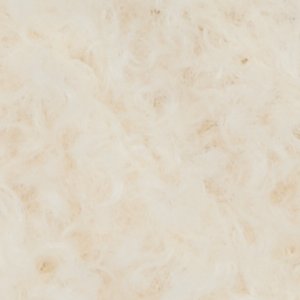 Cozycloud - Image 2