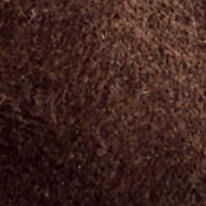 Frankey - Image 7