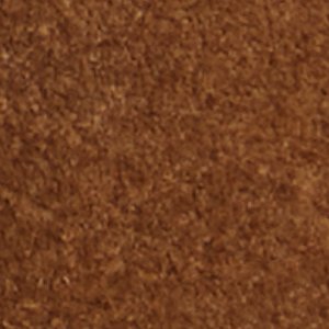 Nolya - Image 7