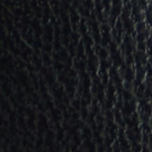 Figgy - Image 8