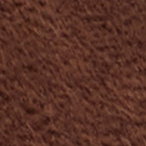 Marisea - Image 7