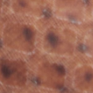 Re-olivia - Image 7