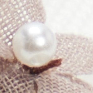 Maxie - Image 7