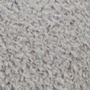 Nikolas - Image 9