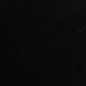 Justen - Image 9
