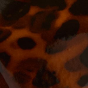 Azuraax - Image 5
