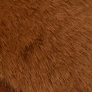 Honeybun - Image 3