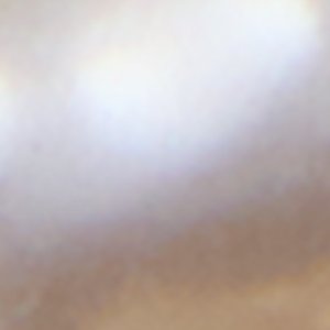 Devotted - Image 2