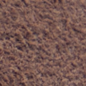 Alloria - Image 7