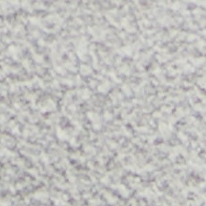 Whirl - Image 8