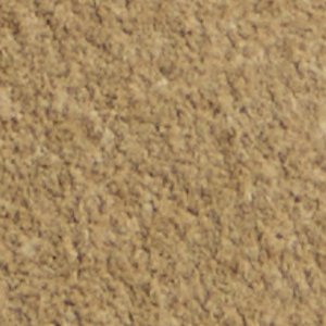 Torrance - Image 8