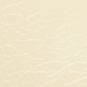 Amilie - Image 7