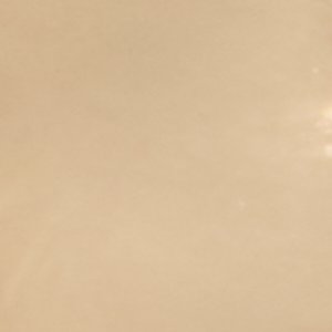 Whittney - Image 3