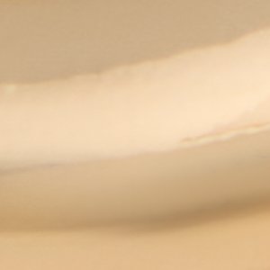 Peamethmini - Image 3
