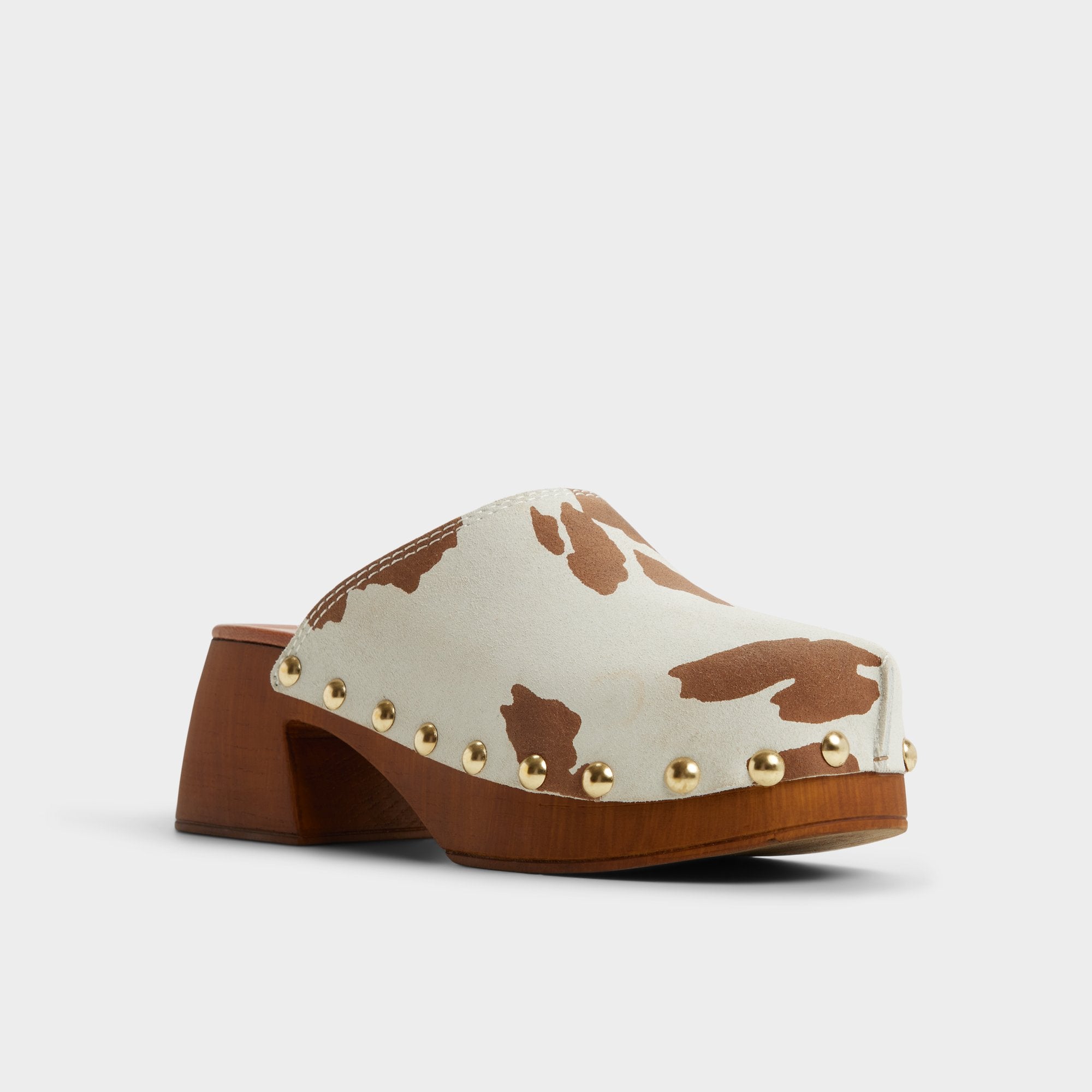 Tayloria - Image 4