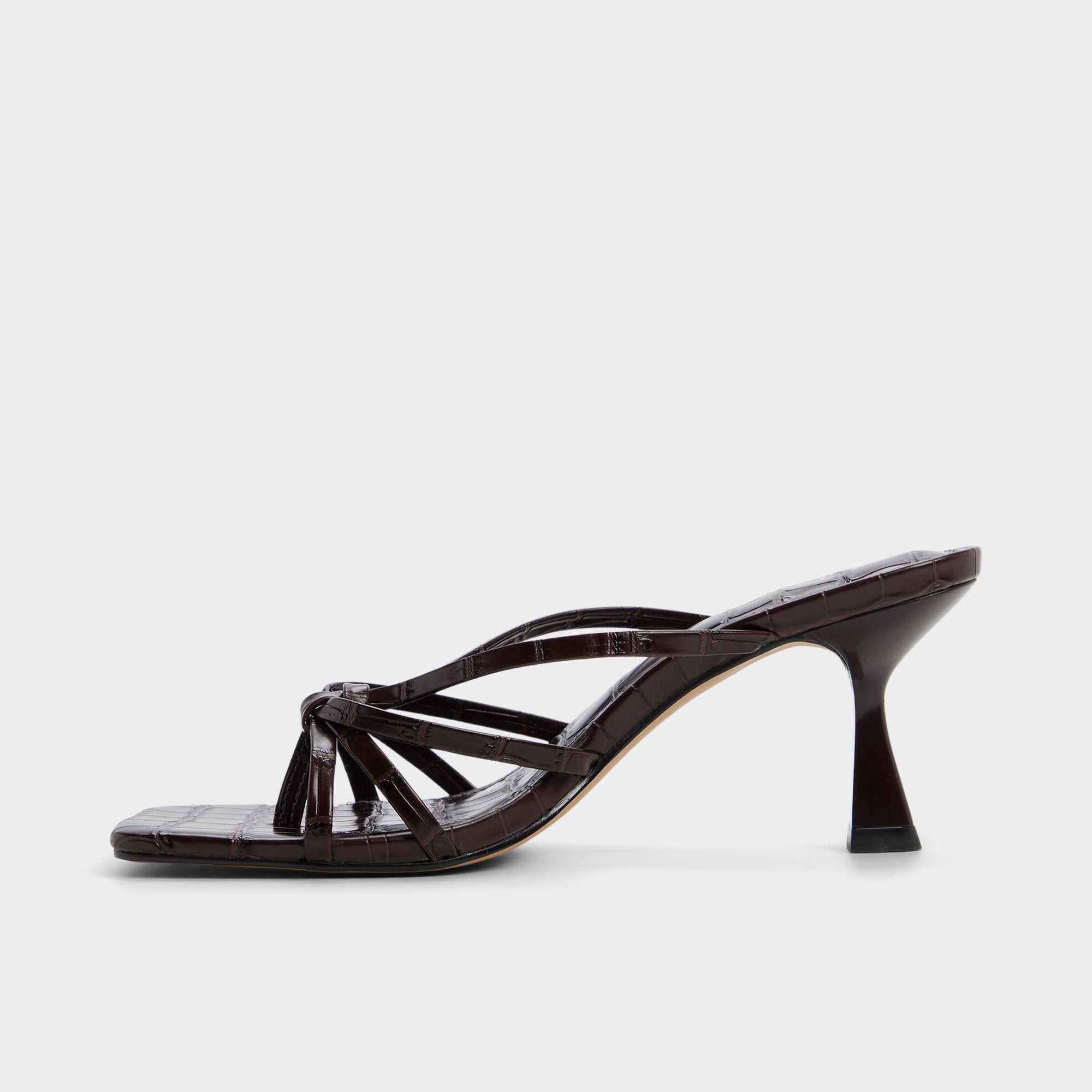 Lumera - Image 3